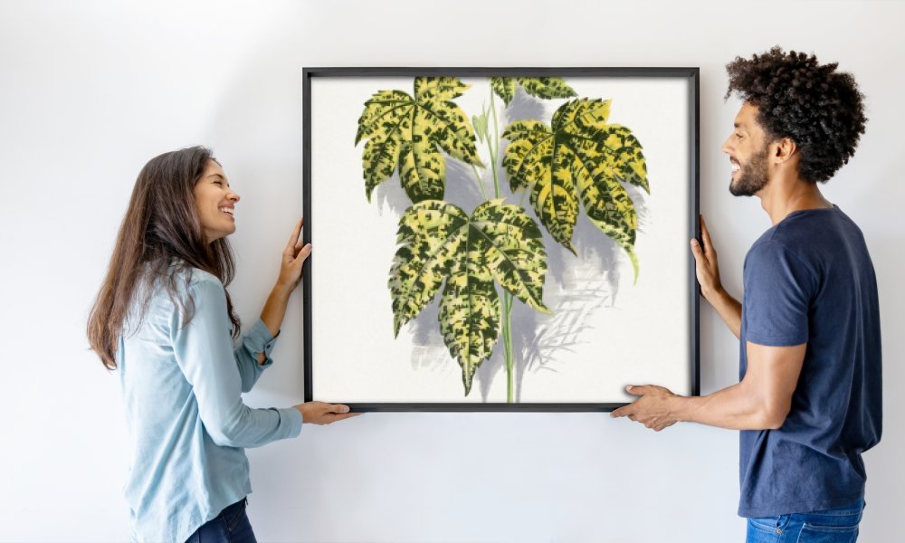 Les Plantes a Feuillage Colore