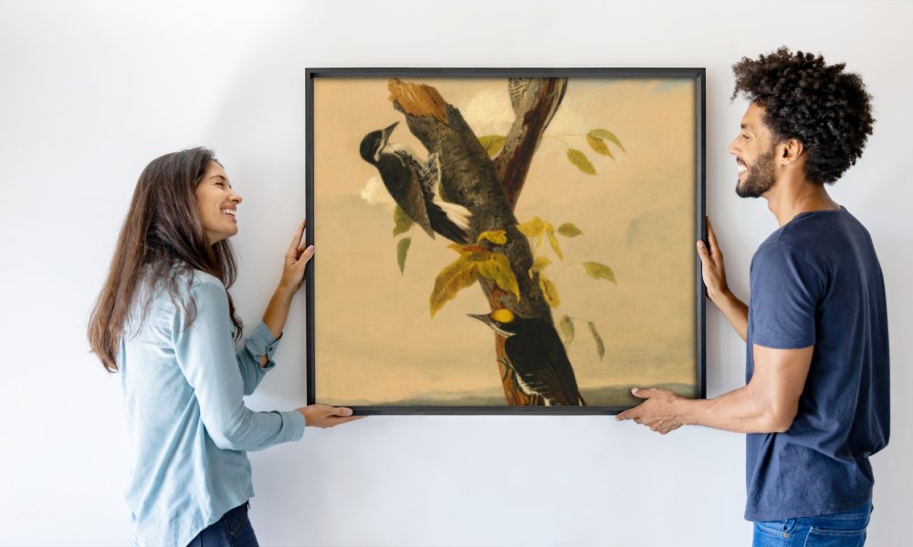 after John James Audubon Joseph Bartholomew Kidd