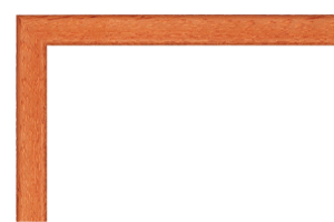 Afbeeldingslijst