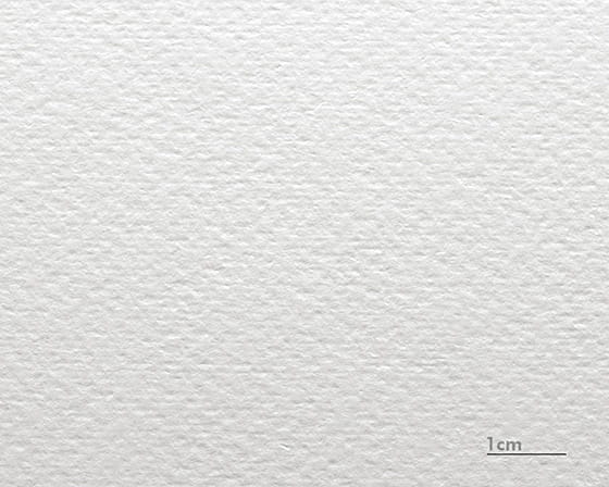 Aquarel Karton Renoir