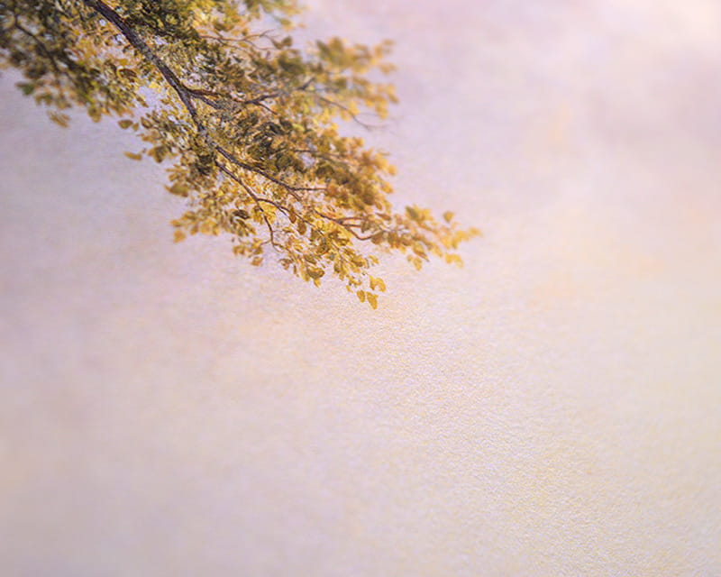 FineArt Photo mat (Museum Natural Smooth)  25