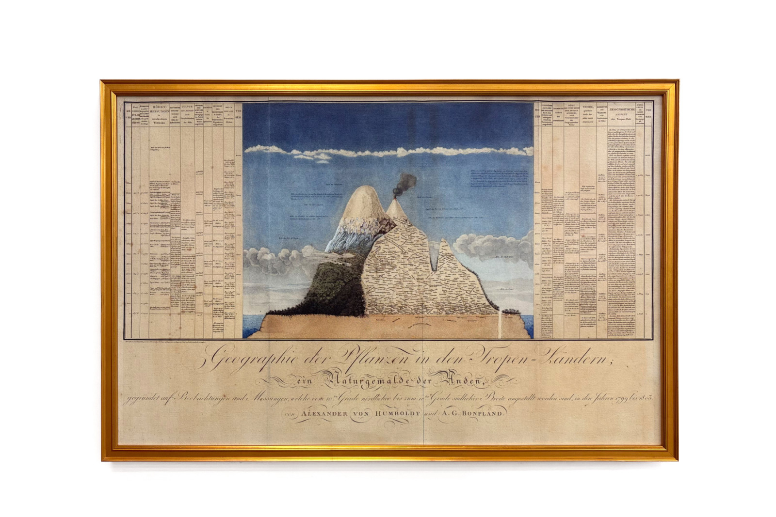 Geografie van planten in tropische landen, een studie van de Andes, getekend door Schoenberger en Turpin, gedrukt door Langlois, Parijs - Baron Friedrich Alexander von Humboldt