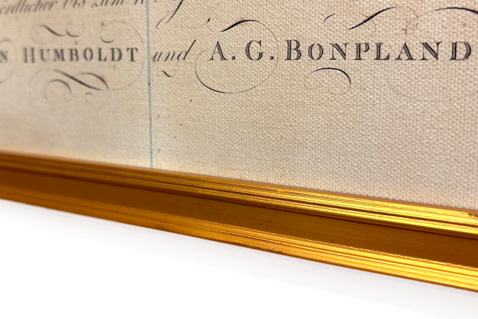 Geografie van planten in tropische landen, een studie van de Andes, getekend door Schoenberger en Turpin, gedrukt door Langlois, Parijs - Baron Friedrich Alexander von Humboldt