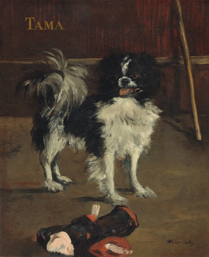 Tama, de Japanse hond door Édouard Manet