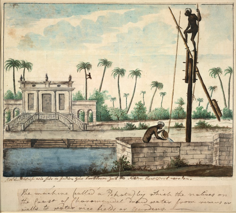 Een koloniale tuin die irrigatie toont, c.1787 door English School