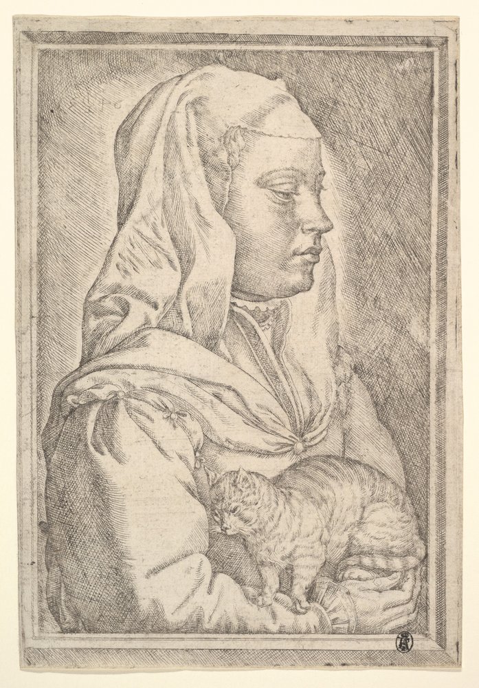 Meisje met een kat, 1546 door Jan Cornelisz Vermeyen