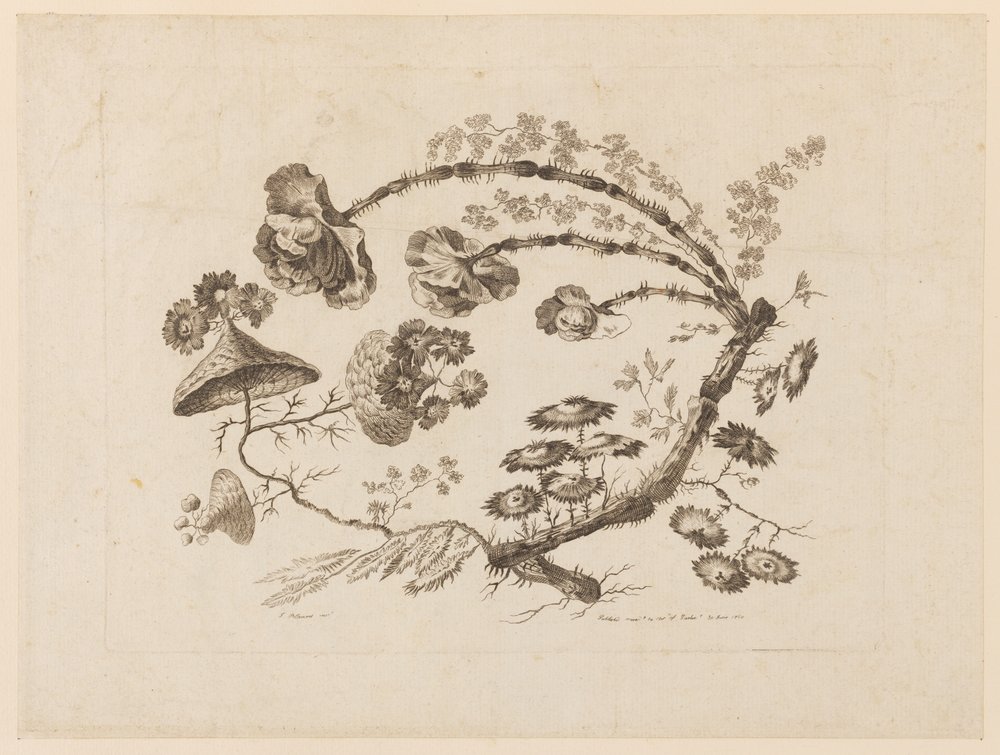 Bloemtakken, uit "Recueil de Differentes Fleurs de Fantaisie Dans le Goût Chinois" door Jean Baptiste Pillement