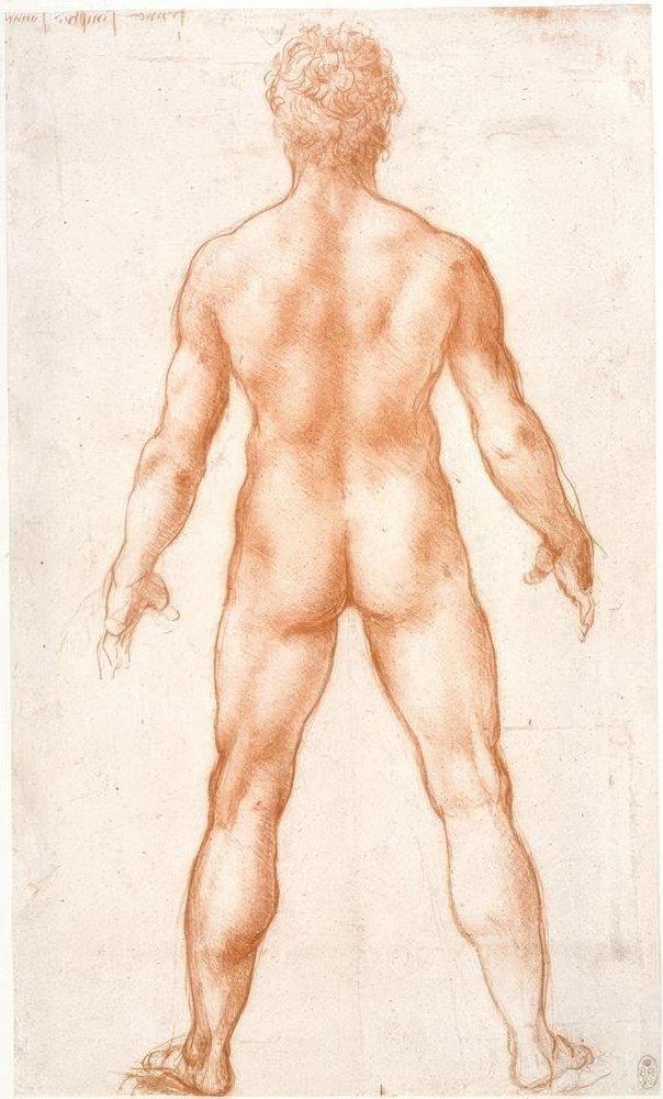 Mannelijk Naakt Van Achteren Leonardo Da Vinci