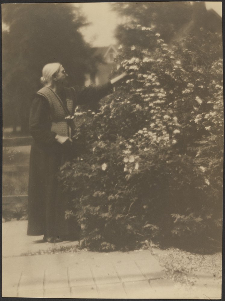 [Portret van een vrouw die bloemen plukt] door Louis Fleckenstein