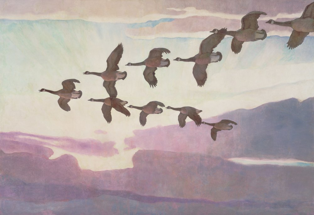 Canadese ganzen in de lente, 1941 door Newell Convers Wyeth