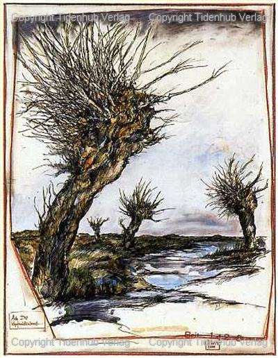 Knotwilgenland door Ole West