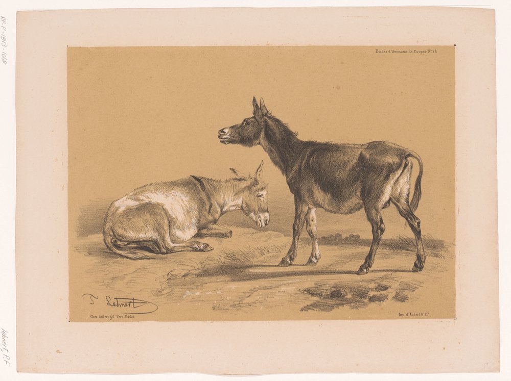 Studie van twee ezels door Pierre Frédéric Lehnert