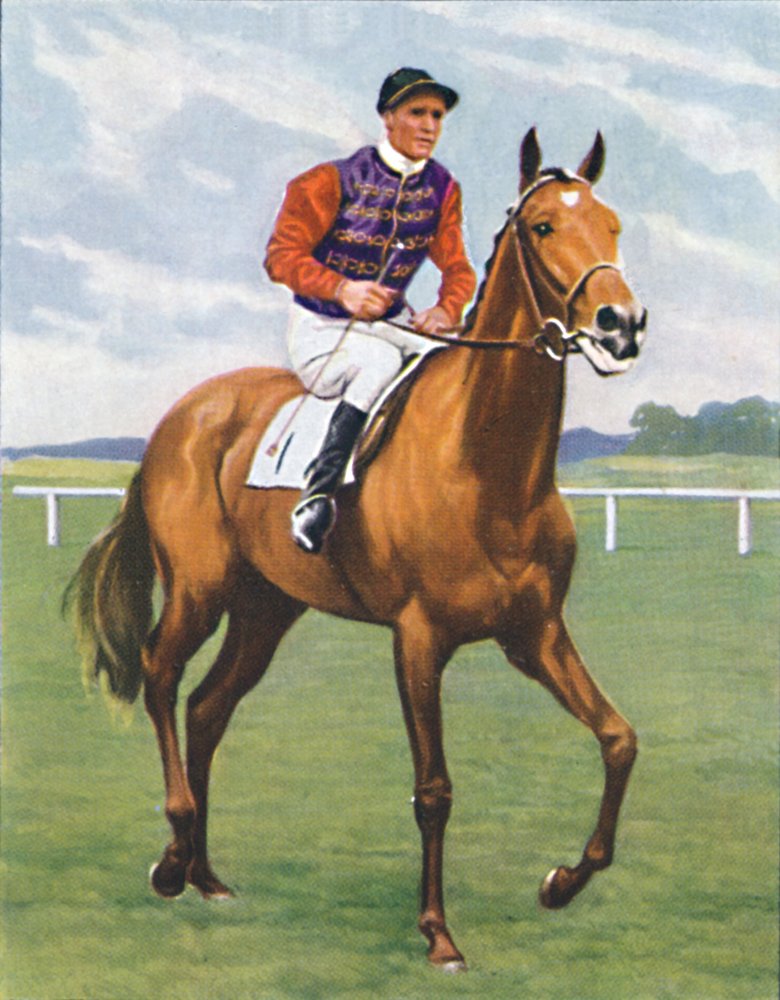 Cosmopolitan, Jockey: J. Crouch, 1939 door Unbekannt