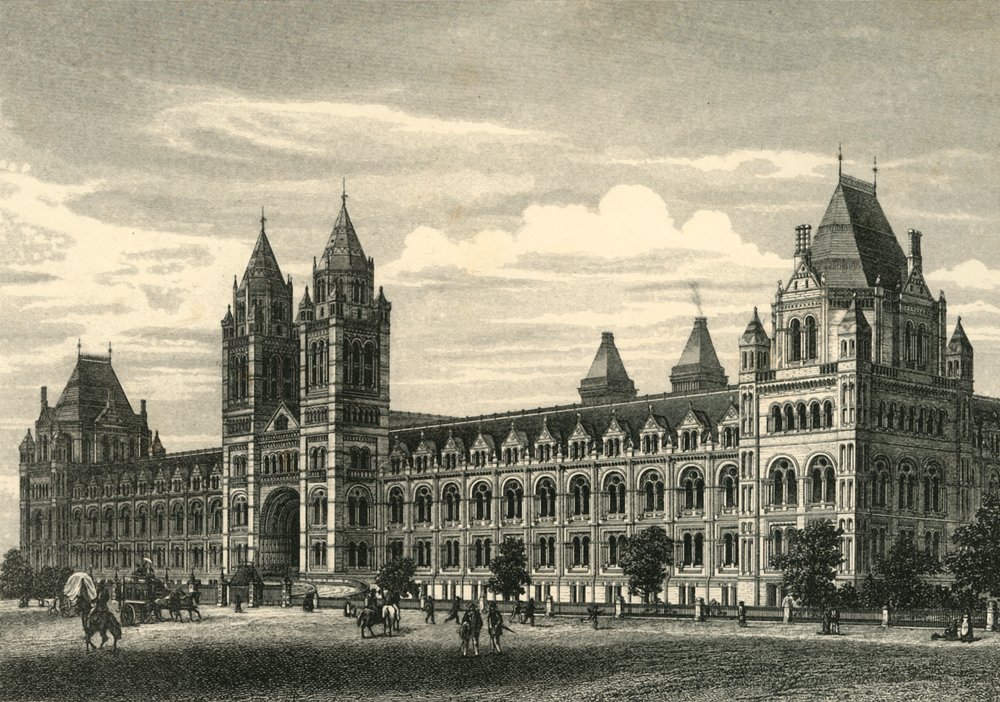 Het Natuurhistorisch Museum, South Kensington, c1876 door Unbekannt