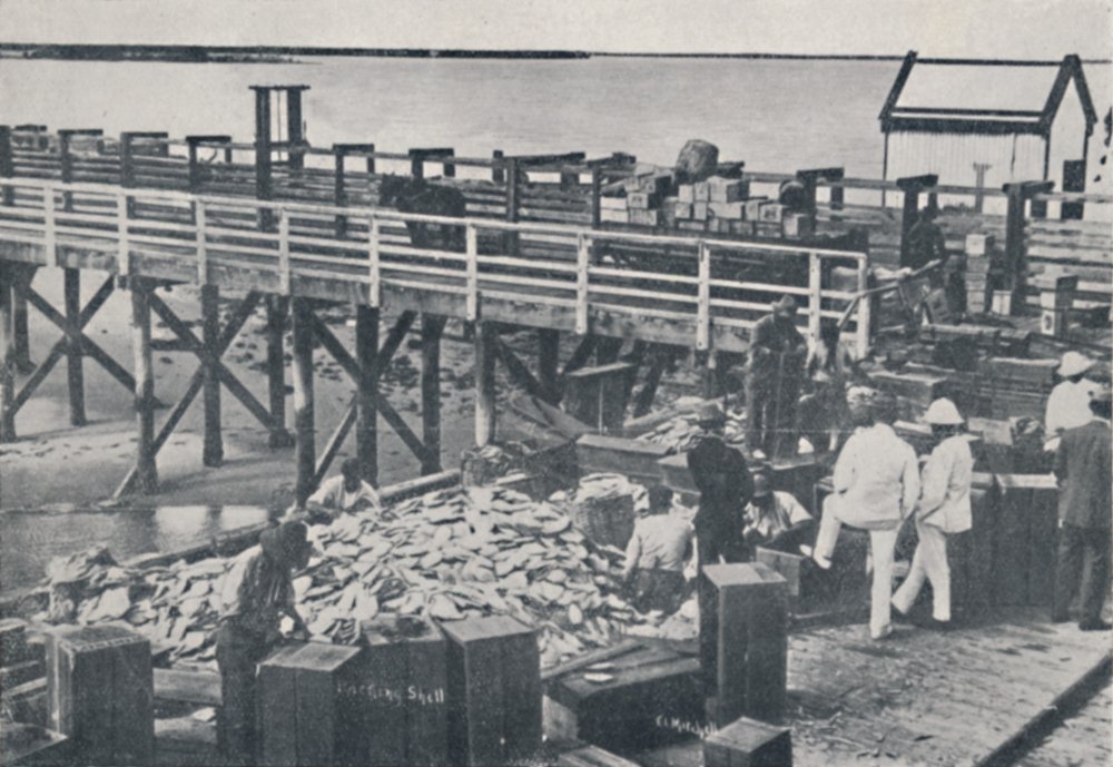 De Parelvisserij - Inpakken van Schelpen door Unbekannt