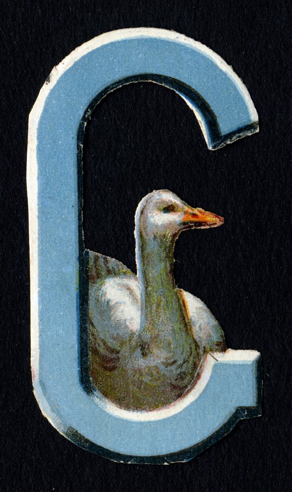 G als Gans. Kever decoupis over het thema dieren. Gravure. Serie van 26 wafelchromolithografieën van Engelse oorsprong. Eind 19e eeuw. door Unbekannt