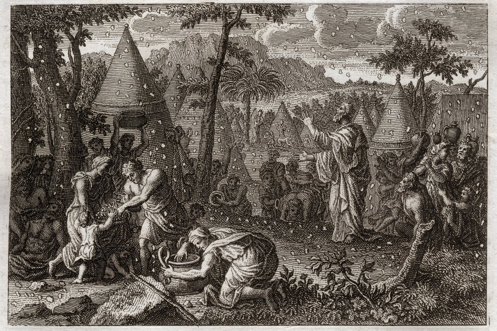 Bijbel van Royaumont, Oude Testament: Joden in de woestijn (of de oogst van manna). God laat veertig jaar lang manna uit de hemel vallen. Illustratie uit 1811. door Unknown artist