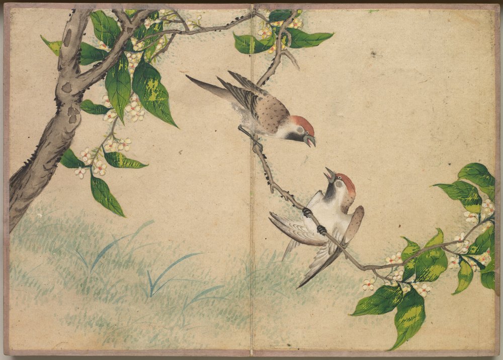 Bureau Album: Bloem- en Vogel Schilderijen (roddelende mussen) door Zhang Ruoai