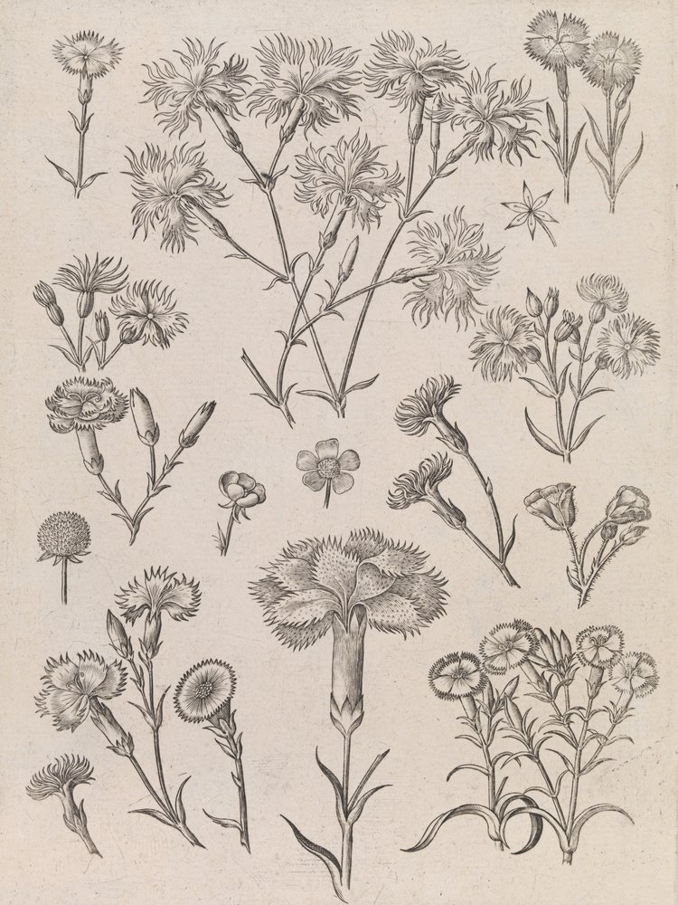  door Adriaen Collaert