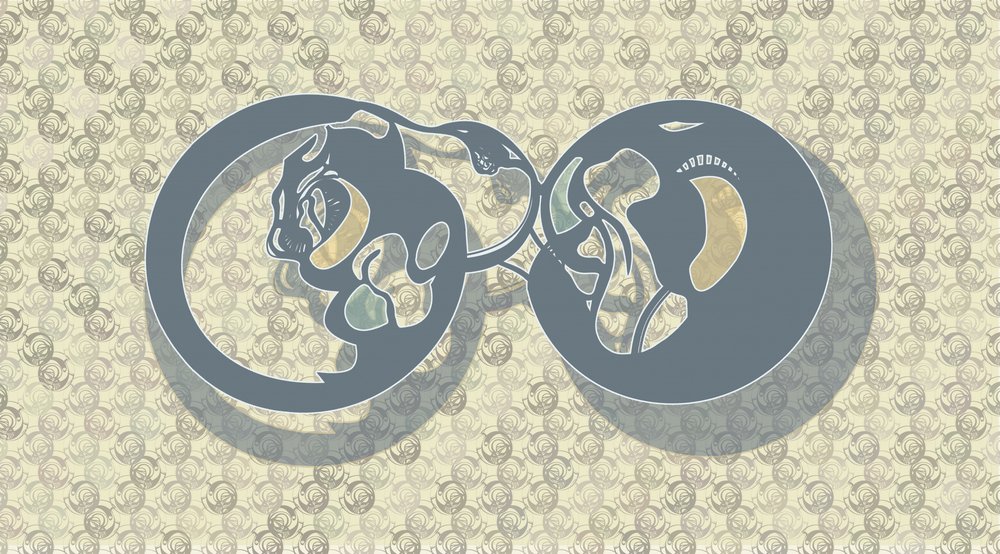 Samenvatting: Feline Infinity door Alejandra Winkhaus