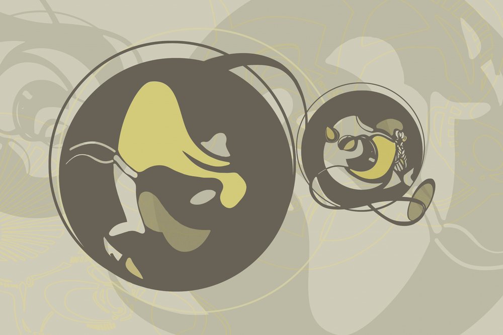 Dynamische organische vormen door Alejandra Winkhaus