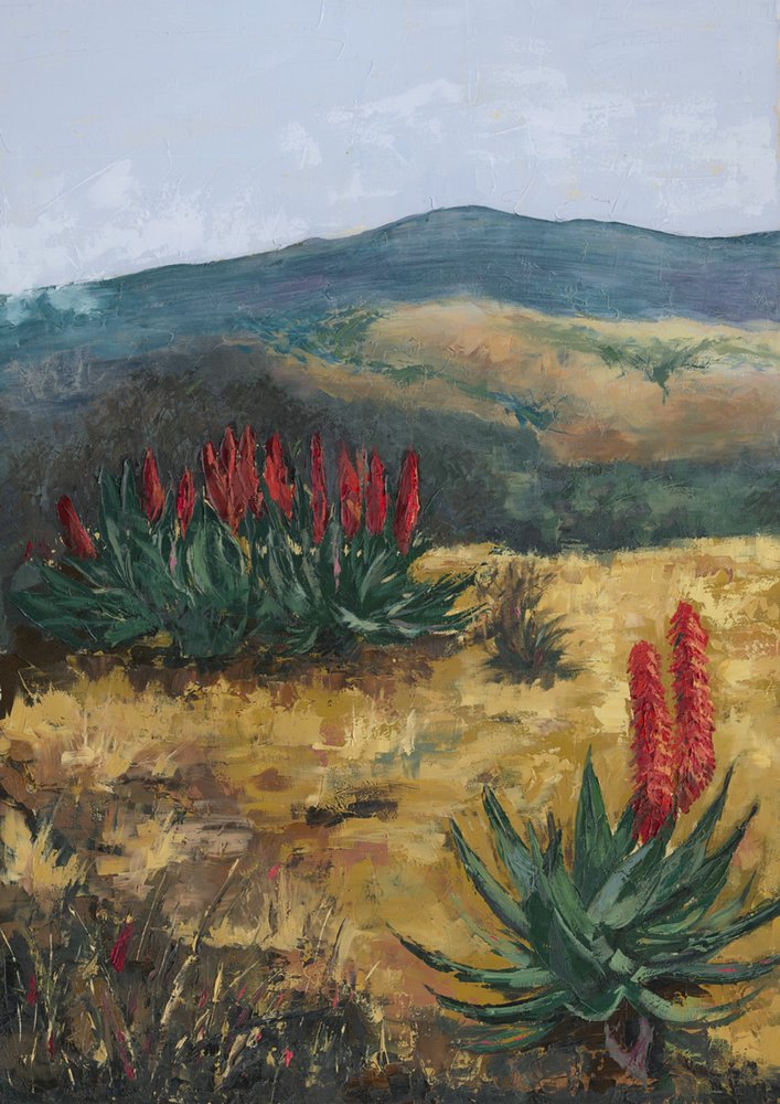 Red Aloes Desert Hills door Alex Cornell
