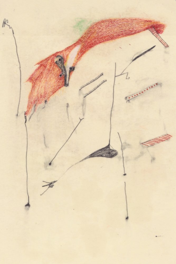 Sluw als een vos door Alexander Adiels