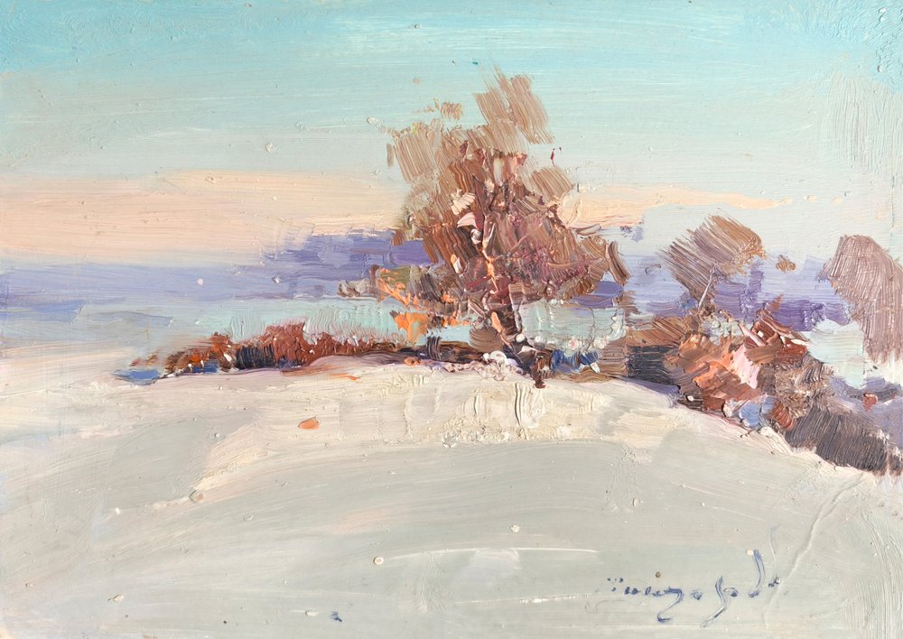 De gloed van een winterlandschap door Alexander Shandor