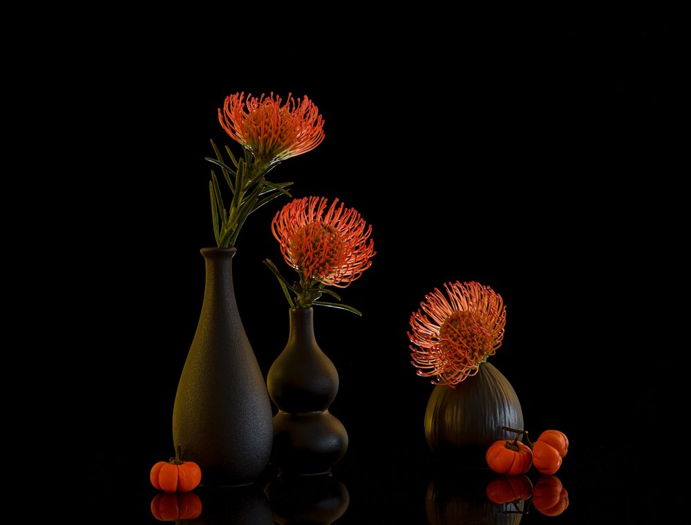Stilleven met herfstprotea’s door Alice Sheng