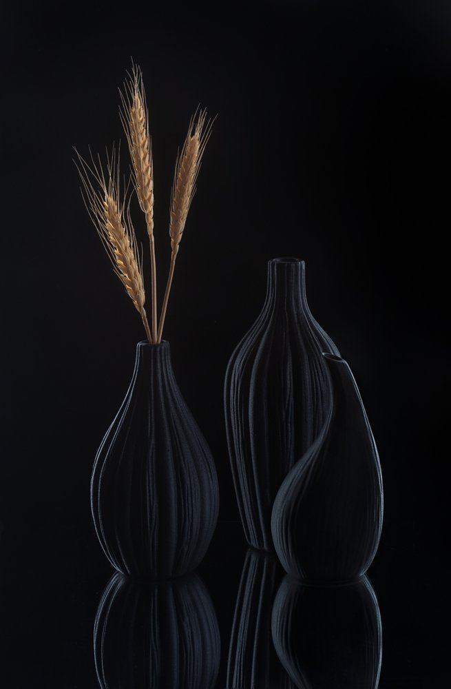 Elegant donker stilleven door Alice Sheng