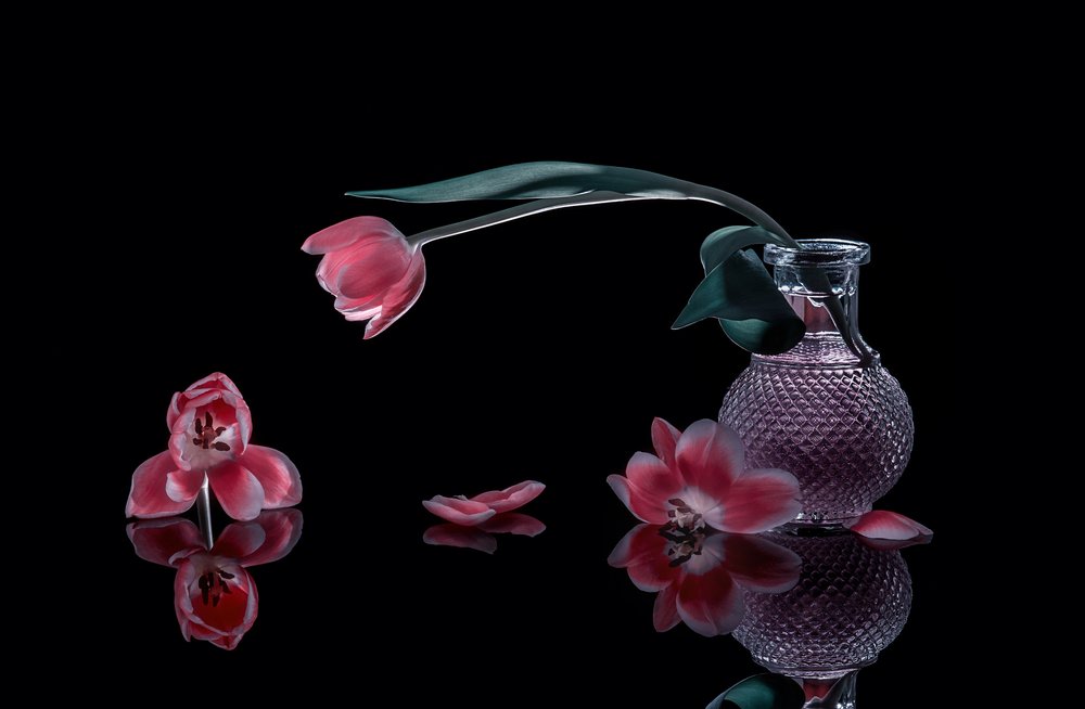 Elegante roze tulpen door Alice Sheng