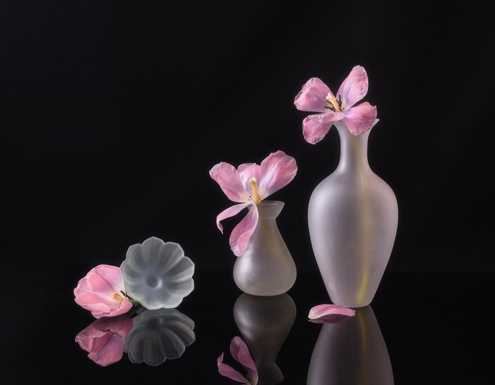 Verblekende roze tulpen door Alice Sheng