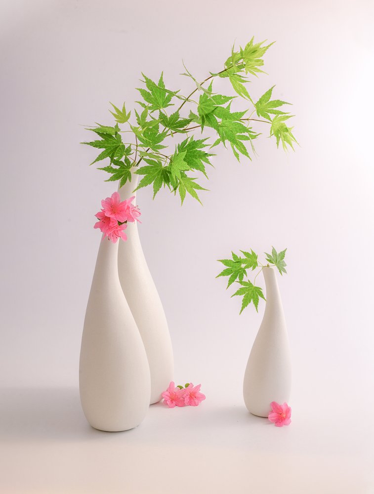 Groene bladeren, roze bloemen door Alice Sheng