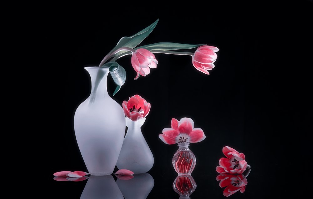 Stilleven met roze tulpen door Alice Sheng