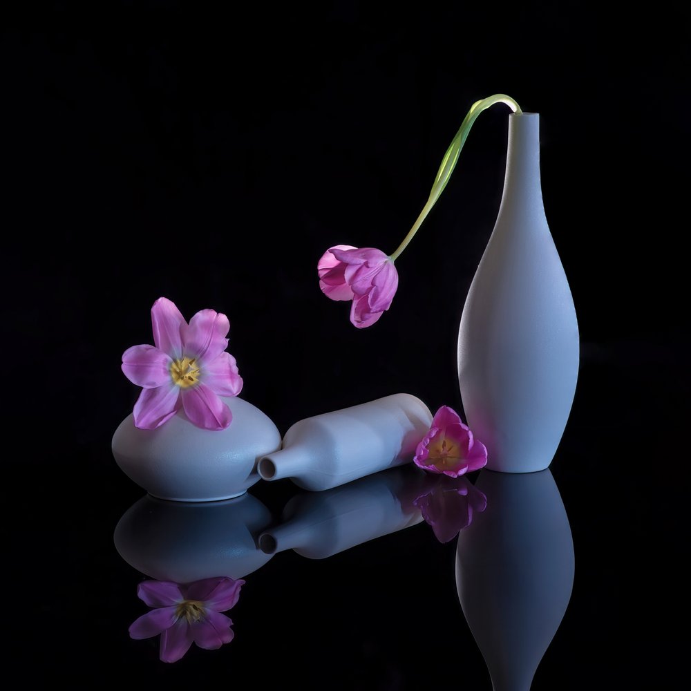 Weerspiegelde paarse tulpen door Alice Sheng