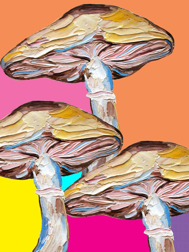 Psychedelische paddenstoelen in popart door Alice Straker