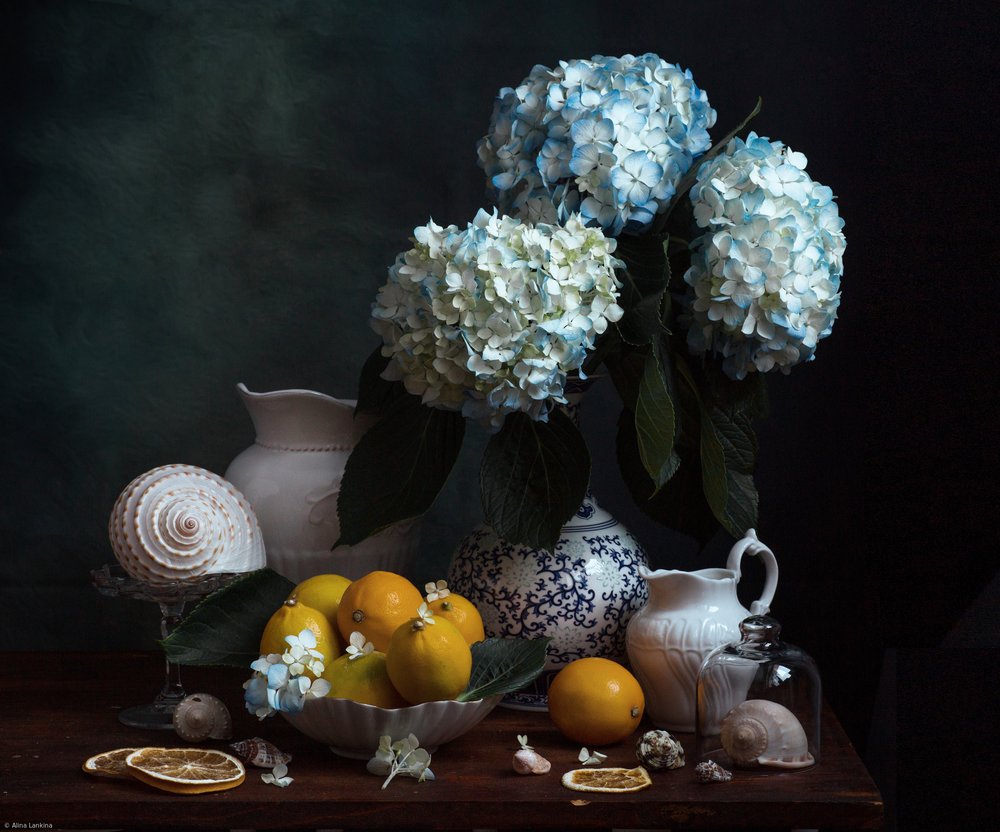  door Alina Lankina