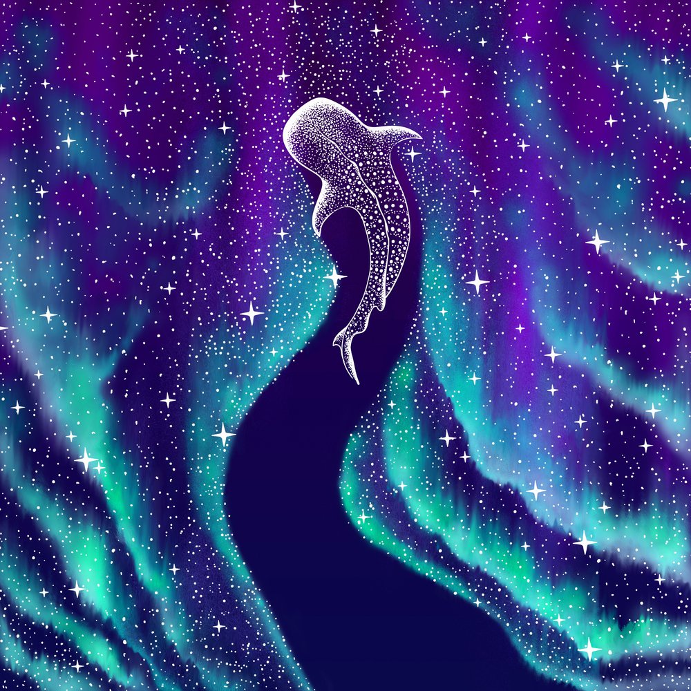 Hemelse walvishaai door Alirıza ÇAKIR