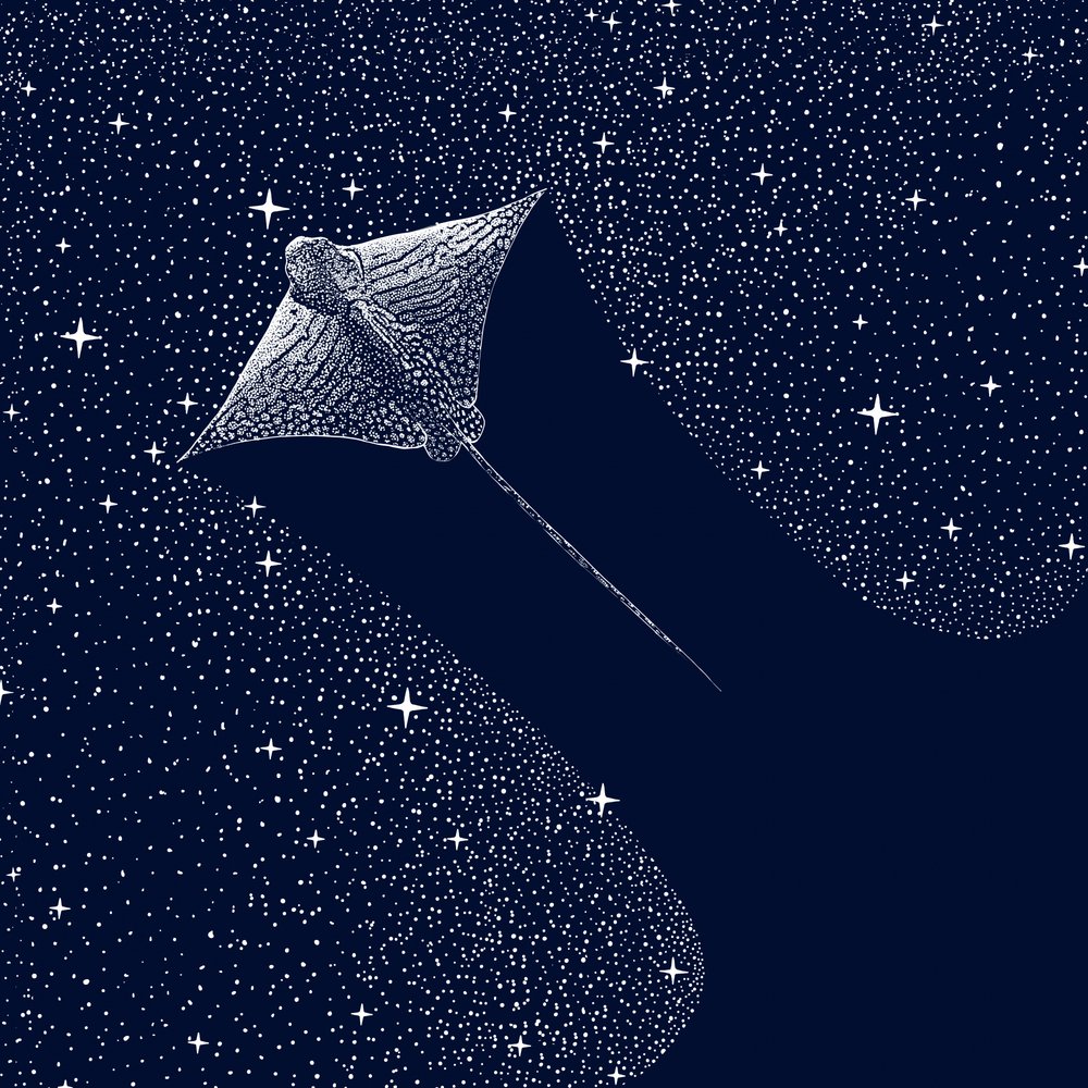 Kosmische adelaarsrog door Alirıza ÇAKIR