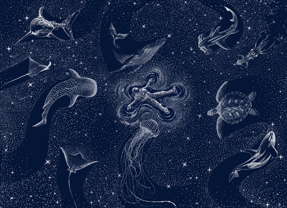 Kosmische Oceaan-droom door Alirıza ÇAKIR