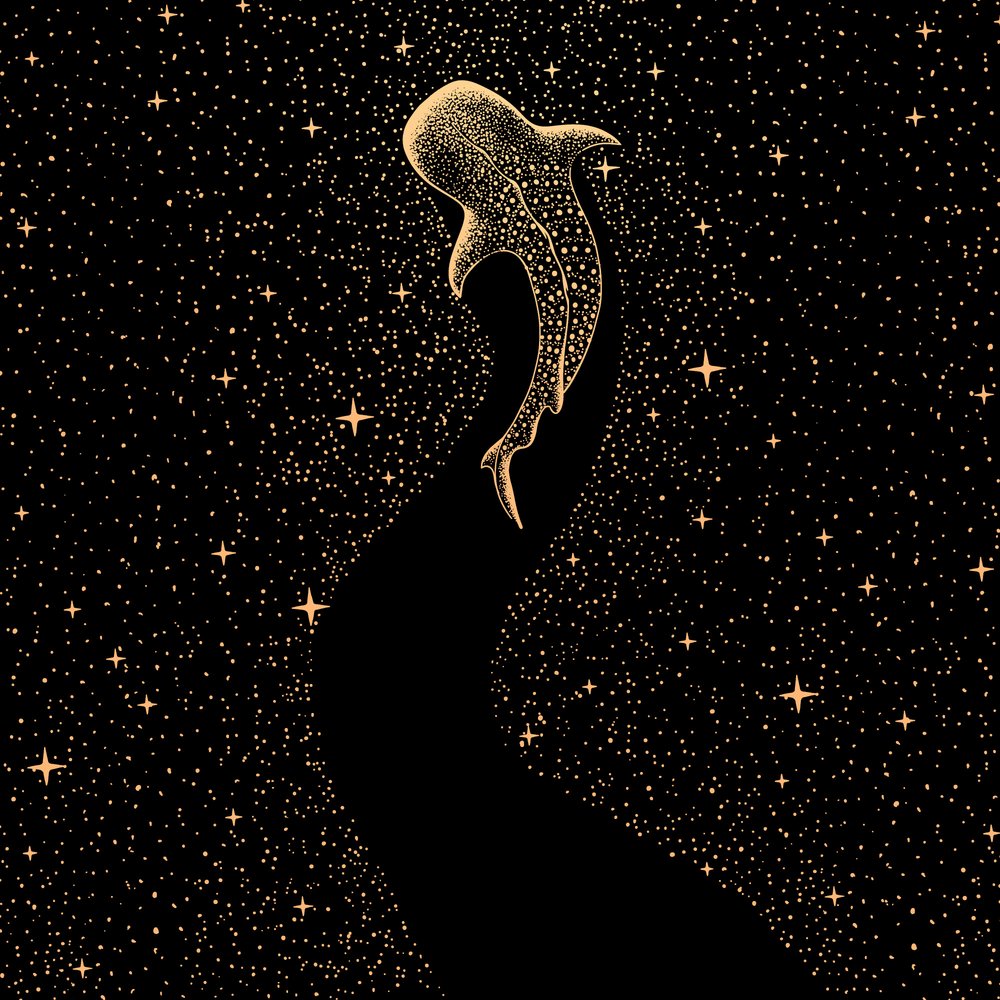 Kosmische walvishaai door Alirıza ÇAKIR