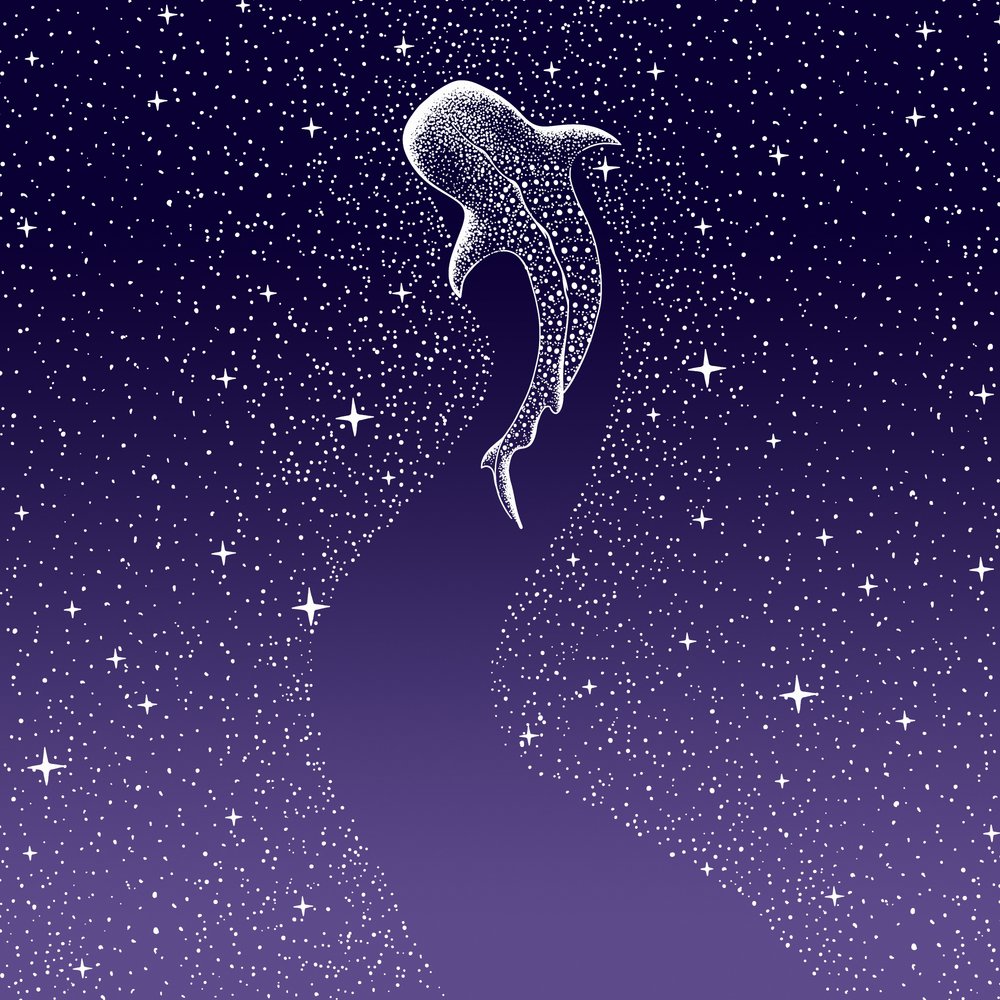 Star Eater donkerblauw naar paars verloop door Alirıza ÇAKIR