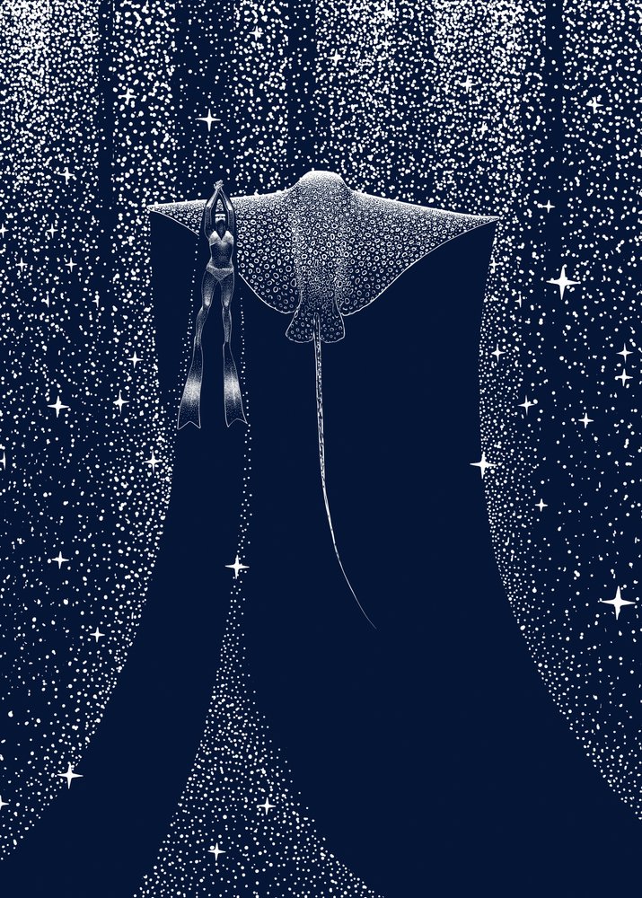 Starlit Ray-gids door Alirıza ÇAKIR