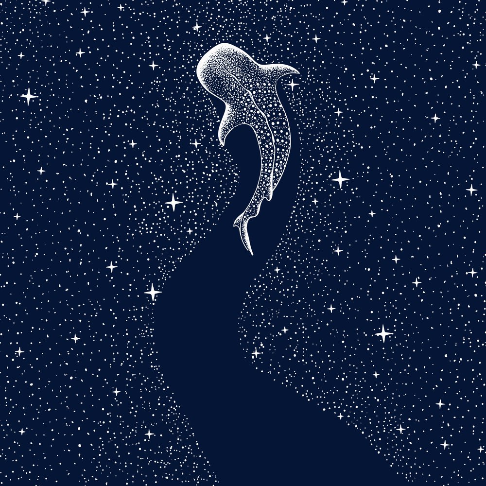 De sterrenhaai door Alirıza ÇAKIR