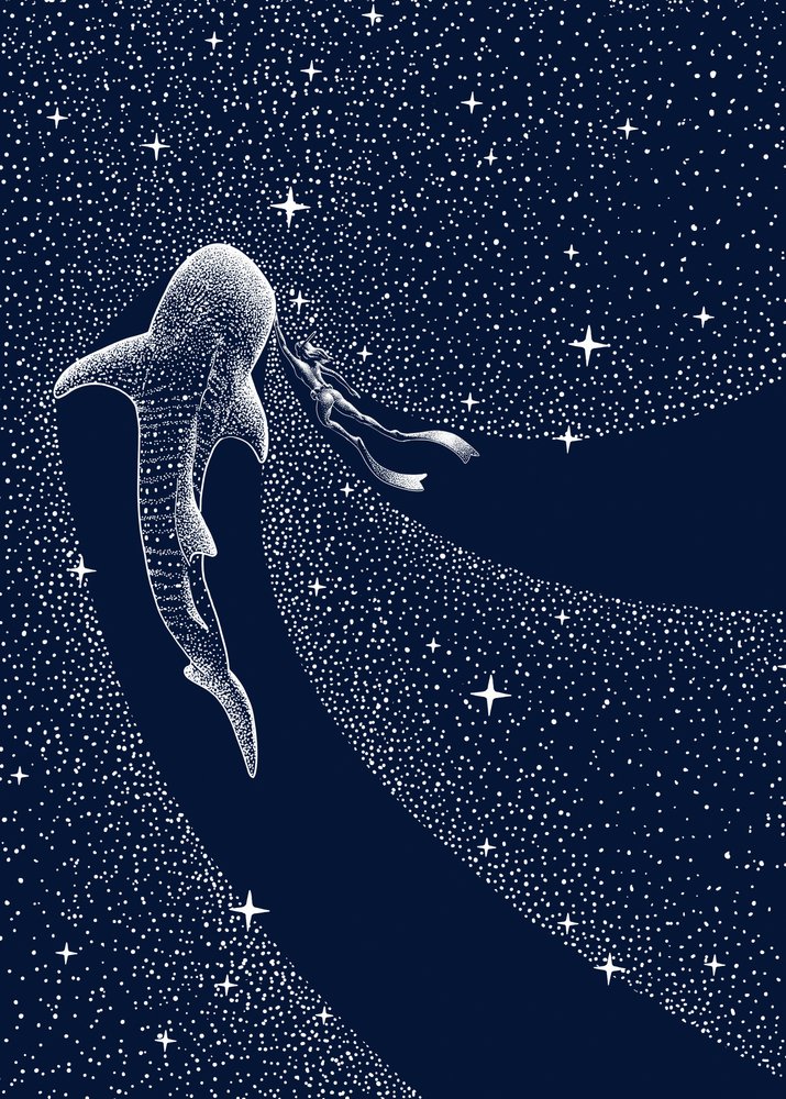 Kosmische reis met de walvishaai door Alirıza ÇAKIR