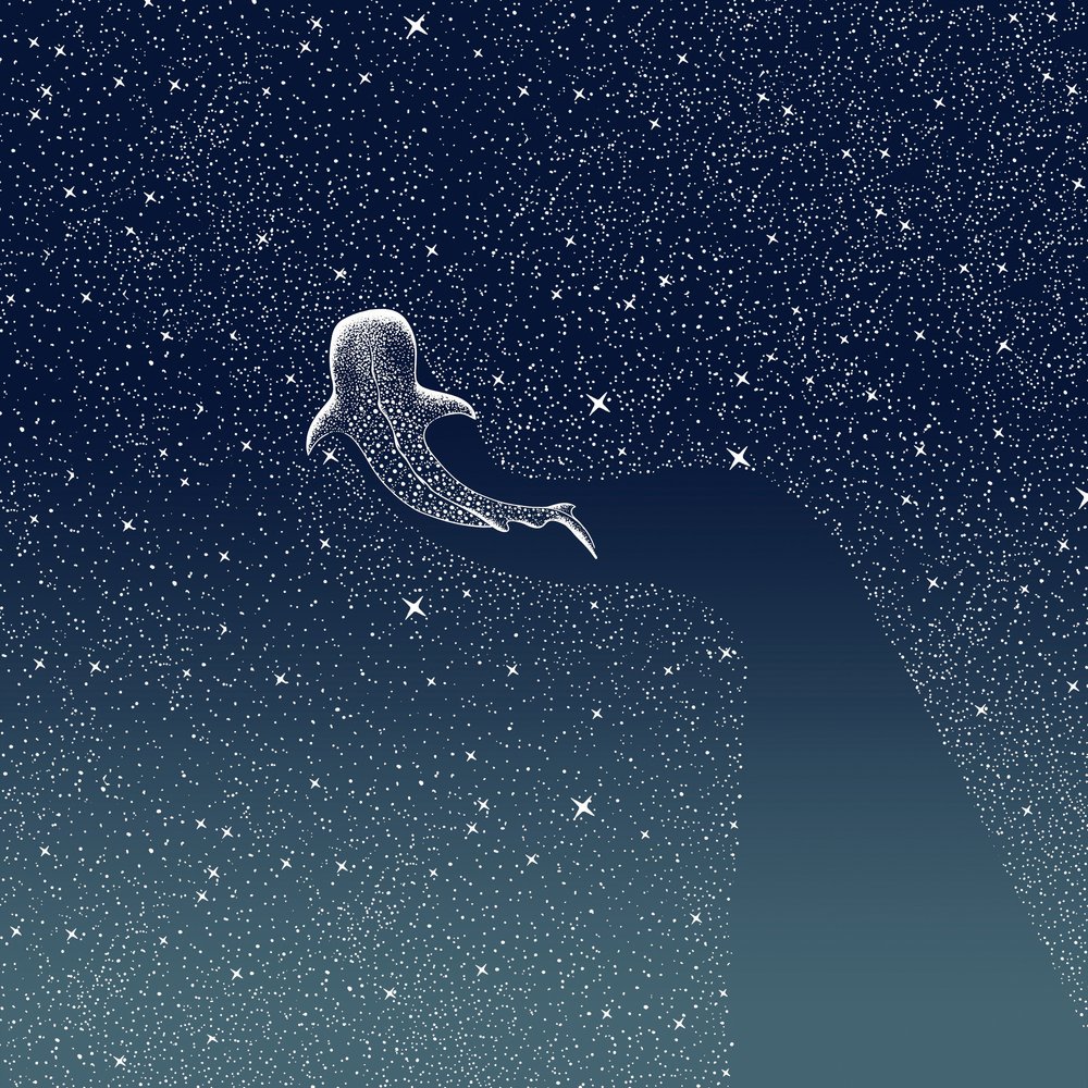 Walvishaai-melkweg door Alirıza ÇAKIR