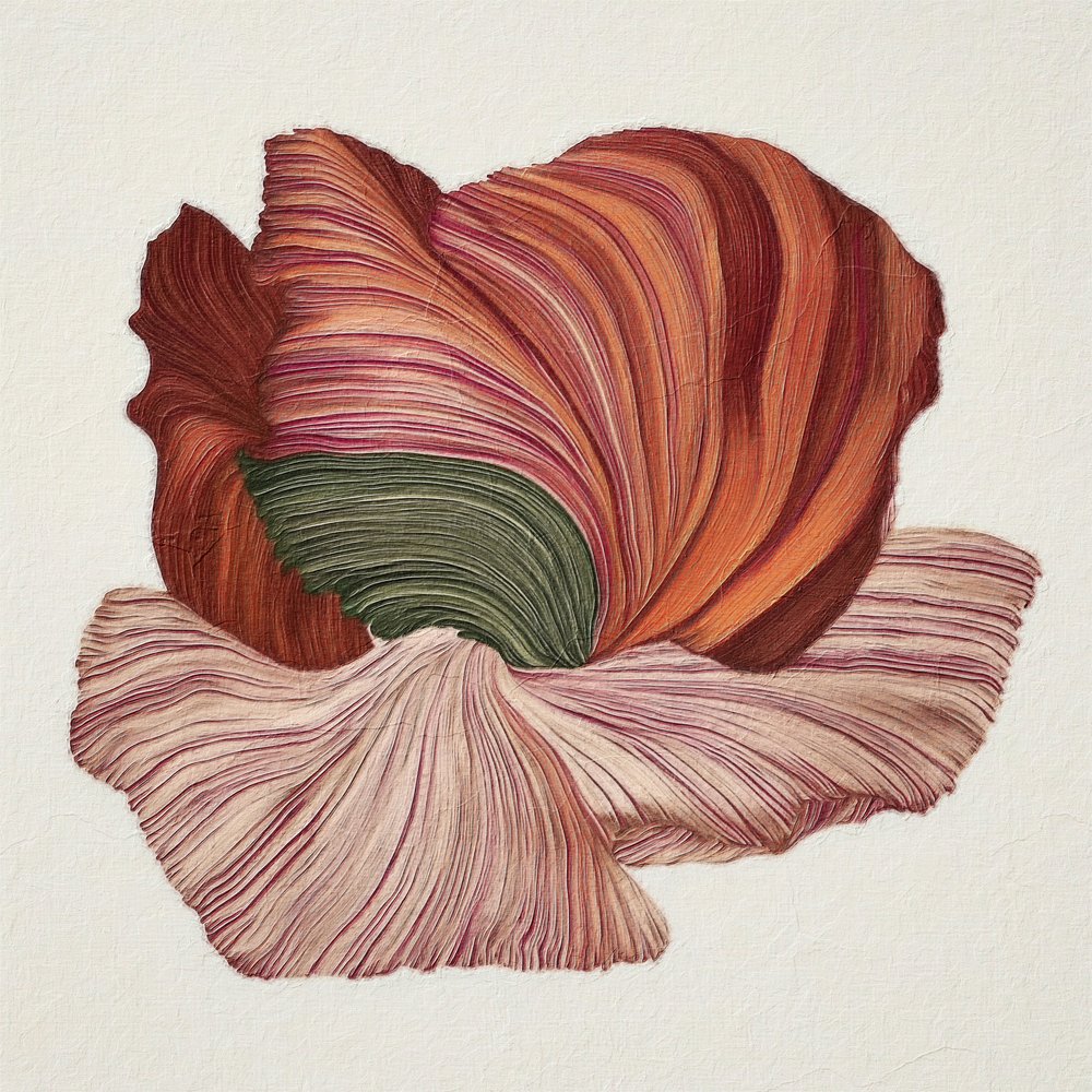 Kleurrijke biologische bloei door Alma