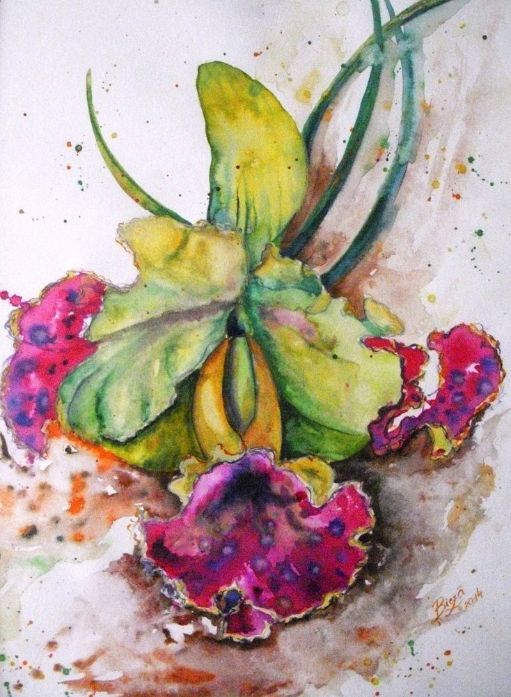 Levendige aquarelorchidee door Anda Bieza