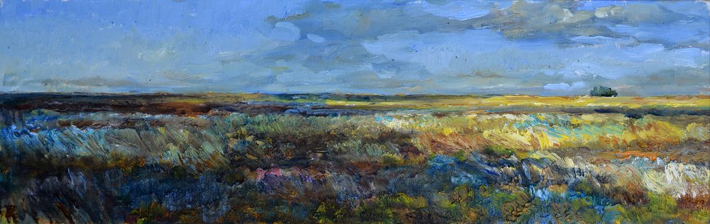Uitgestrekt prairielandschap door Andrii Kutsachenko