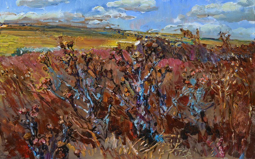 Wild herfstveld door Andrii Kutsachenko